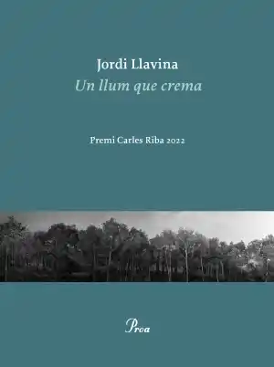 Un llum que crema