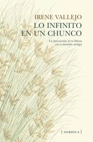 Lo infinito en un chunco