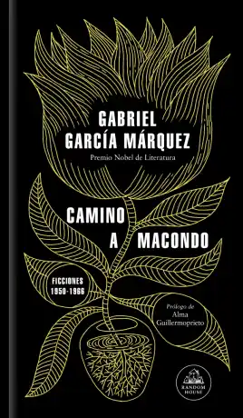 CAMINO A MACONDO