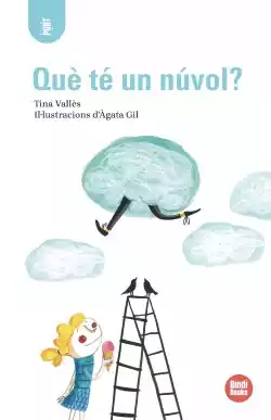 Què té un núvol?