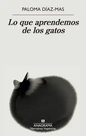 Lo que aprendemos de los gatos