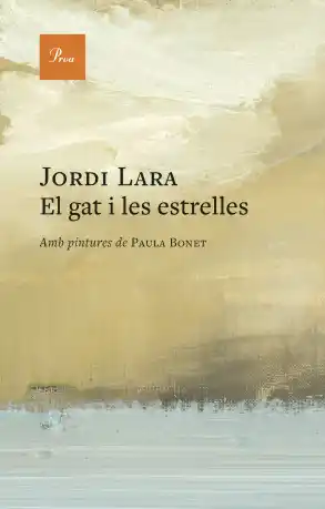 El gat i les estrelles