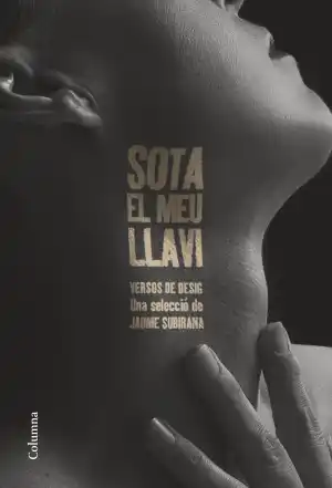 Sota el meu llavi