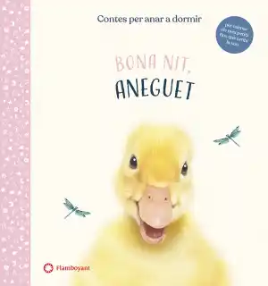 Bona nit, aneguet