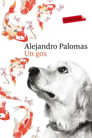 GOS, UN - LB