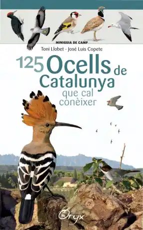 125 ocells de Catalunya que cal conèixer