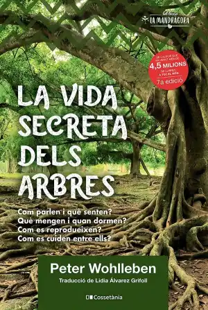 La vida secreta dels arbres