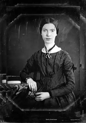 PÒSTER BÈSTIES 15. Dickinson